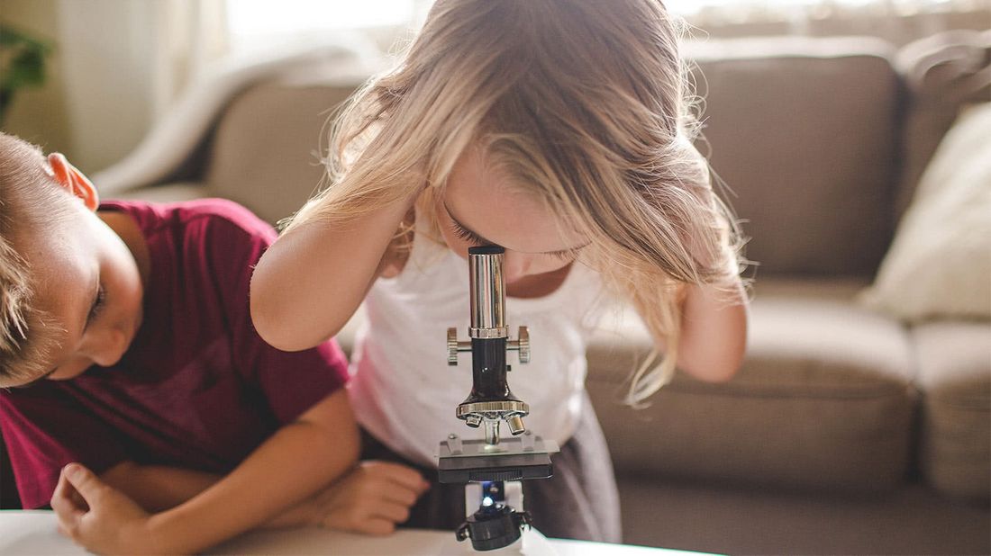 how to set up a 529 plan kids using a microscope