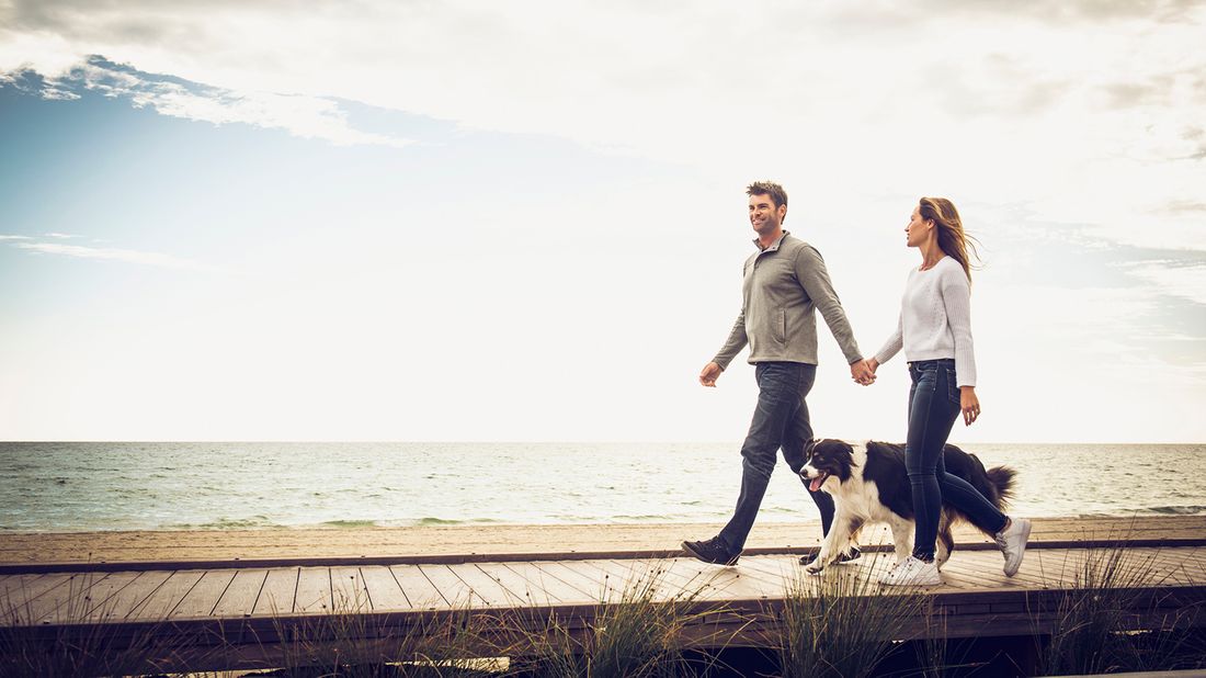 couple walking on boardwalk with dog