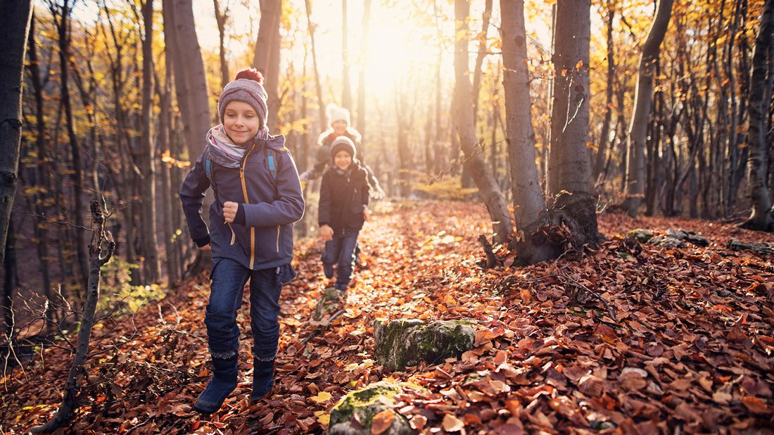 Kids playing in the leaves on a fall family vacation.