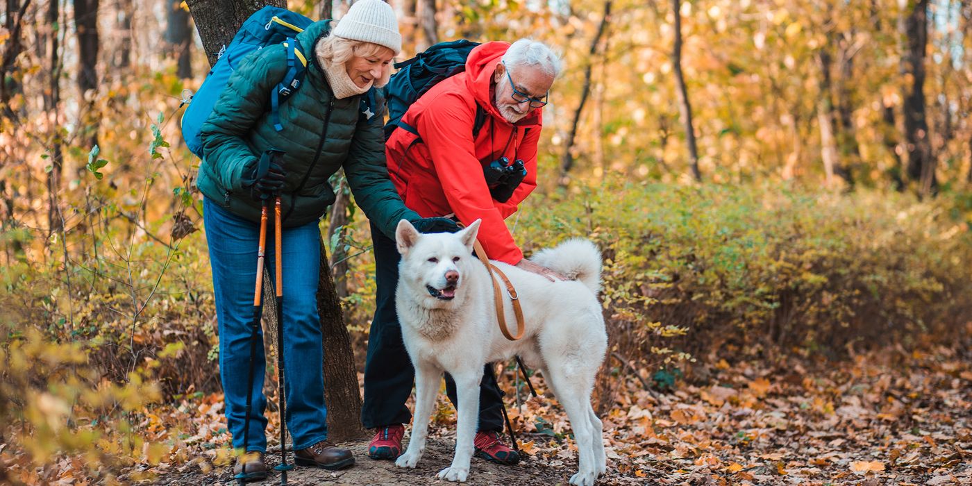 retired-couple-walking-dog-in-autumn