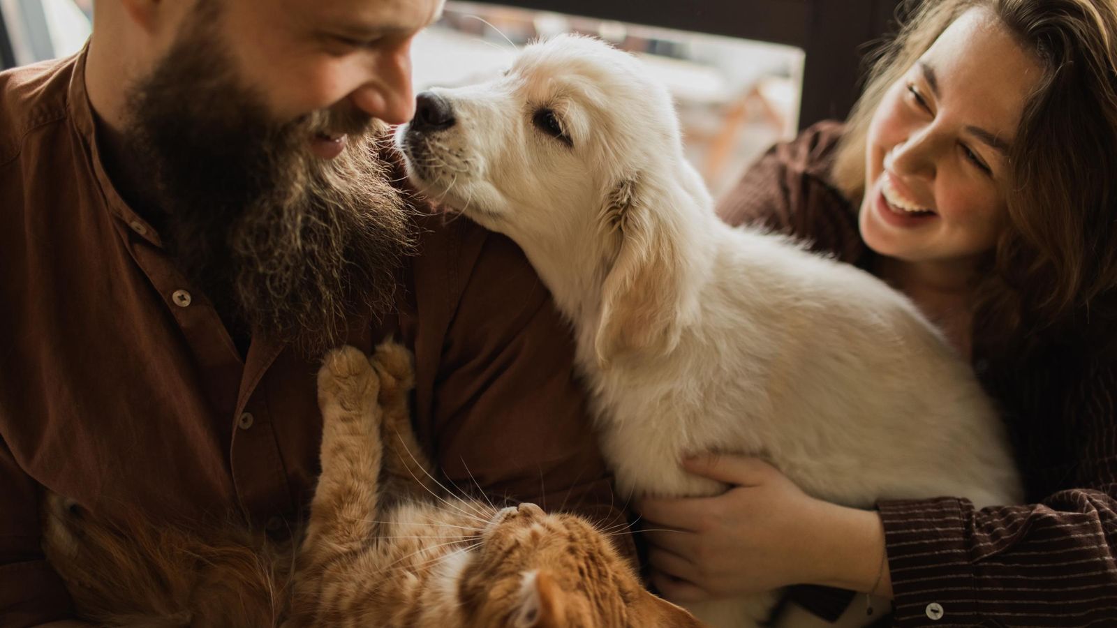 Smiling couple cuddles a golden retriever puppy and an orange tabby cat in a warm home setting.