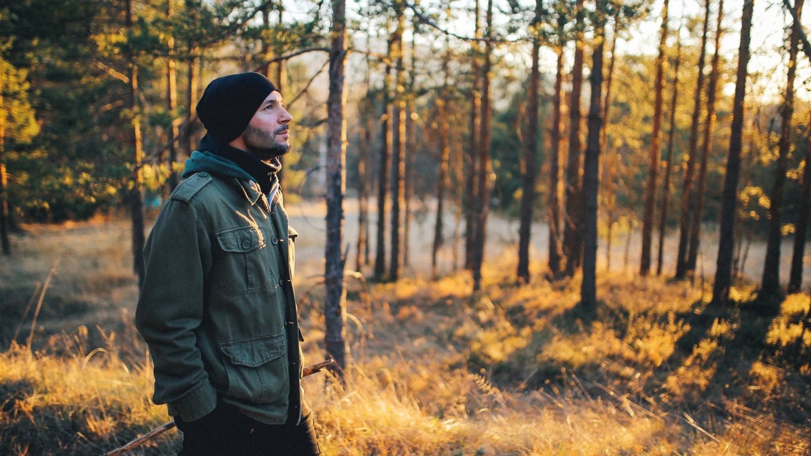 Young man walking in the forest