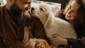 Smiling couple cuddles a golden retriever puppy and an orange tabby cat in a warm home setting.