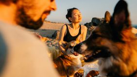 Evening Beach Outing With Friends and Playful Dogs