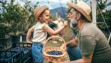 Girl feeds a blueberry to her Grandpa, who is thinking about tax-loss harvesting