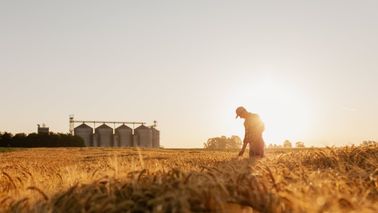 man in field