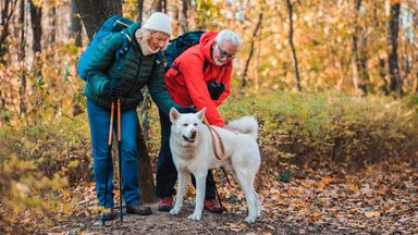 retired-couple-walking-dog-in-autumn
