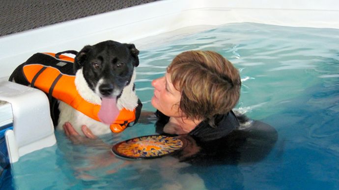 Mary Beth Glatz and one of SandDancer’s patients, Gordy, during a swim therapy session.