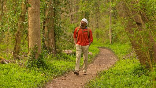 man walking in the woods