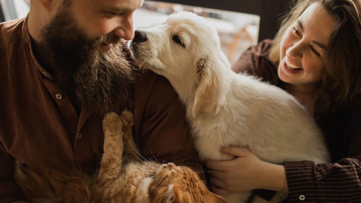 Smiling couple cuddles a golden retriever puppy and an orange tabby cat in a warm home setting.