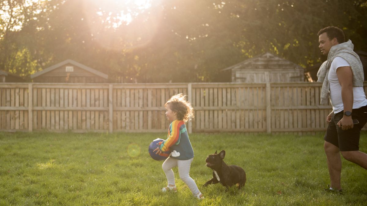 Father chasing his child in a back yard