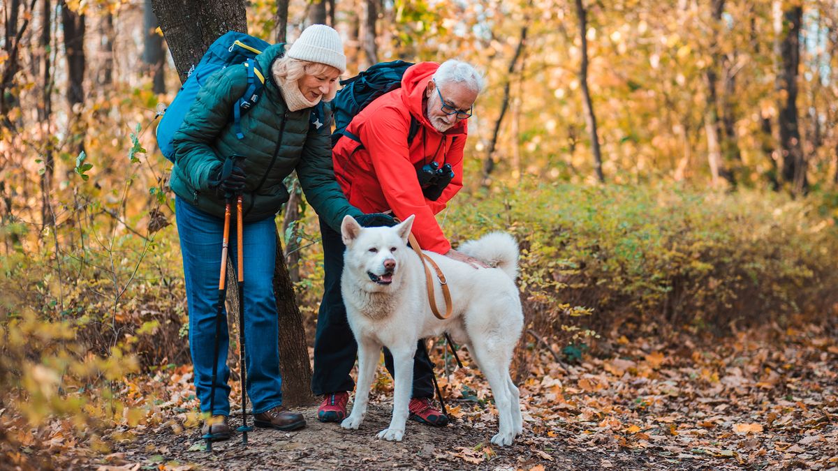 retired-couple-walking-dog-in-autumn