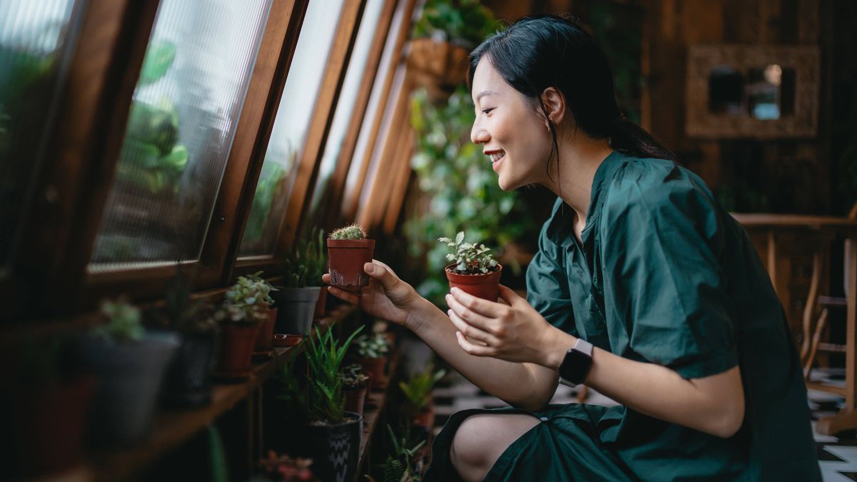 a woman shops for plants