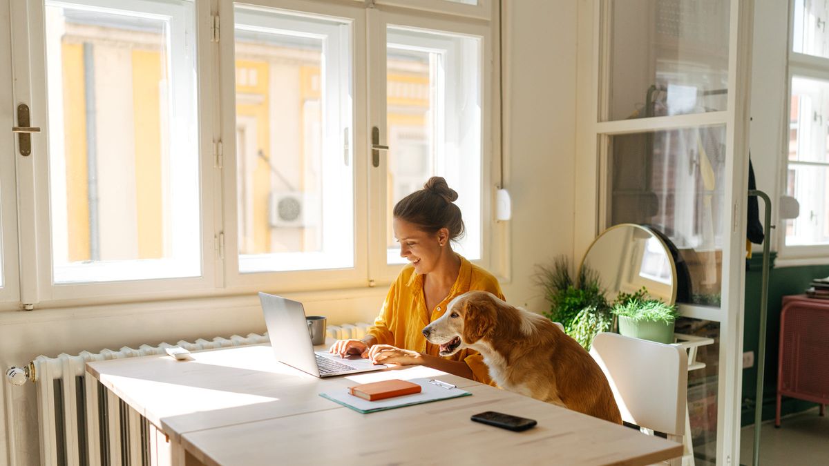 Woman reading Northwestern Mutual’s Weekly Market Commentary alongside her dog.