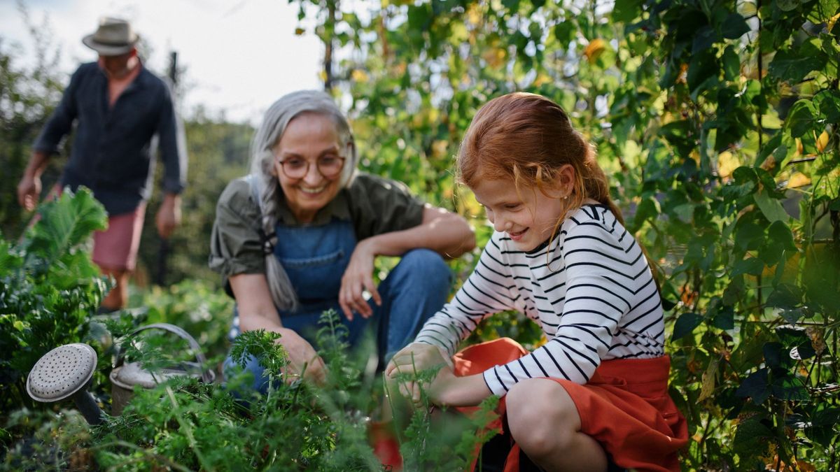 Grandmother with granddaughter working in garden together 