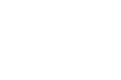 Mosaic Financial Partners