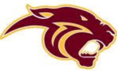 Pine Island Panthers