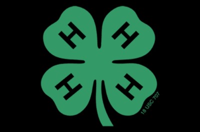 OH 4H Sea Camp Logo
