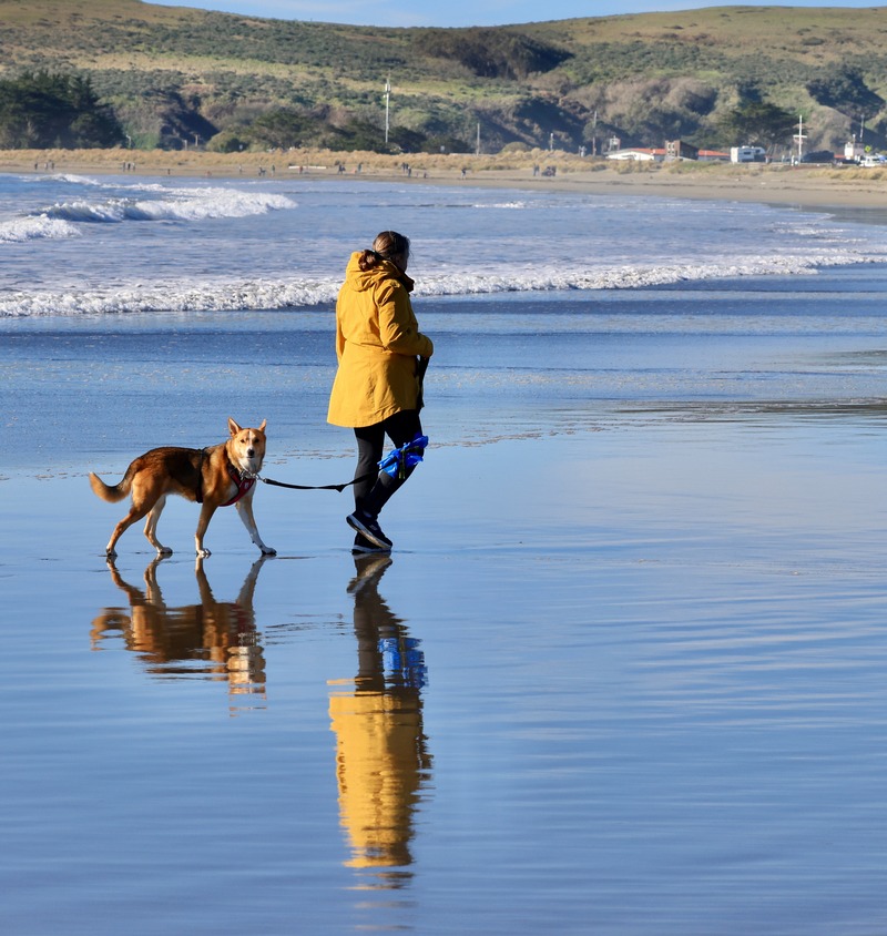 Sharon and Sadie at Doran Beach