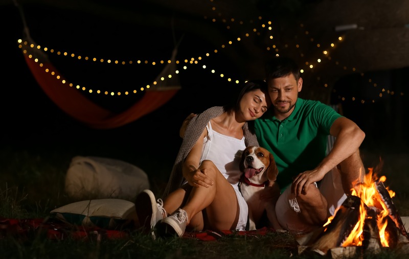 Veterinarian couple camping with dog