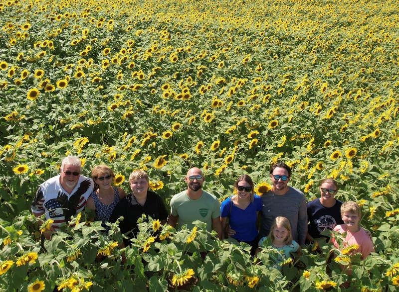Financial Planning Sunflowers