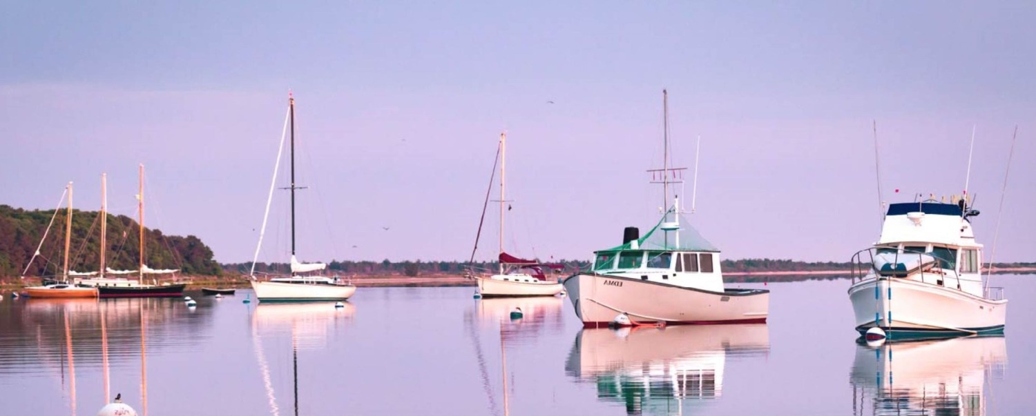 sailboats on water