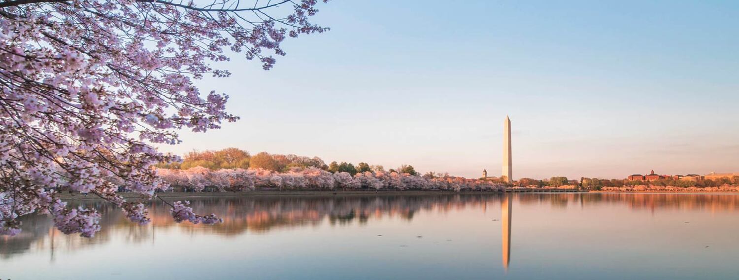 Washington Monument and reflecting pool