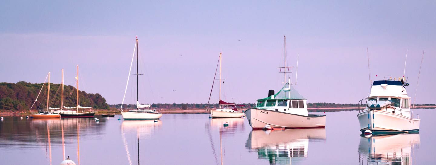 Boats anchored in a Wellesley harbor