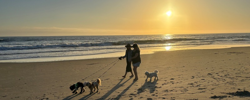 Walk on the beach