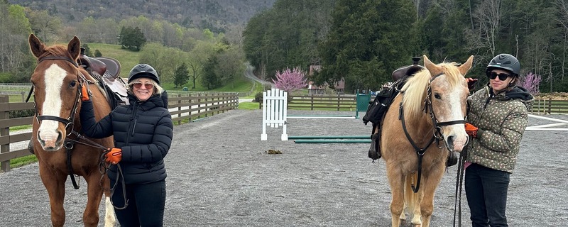 Pk and JK horses